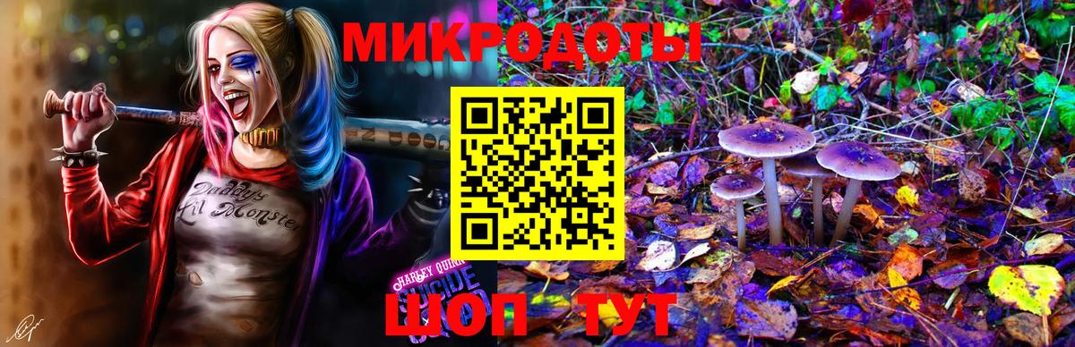 Псилоцибиновые грибы ЛСД Мичуринск