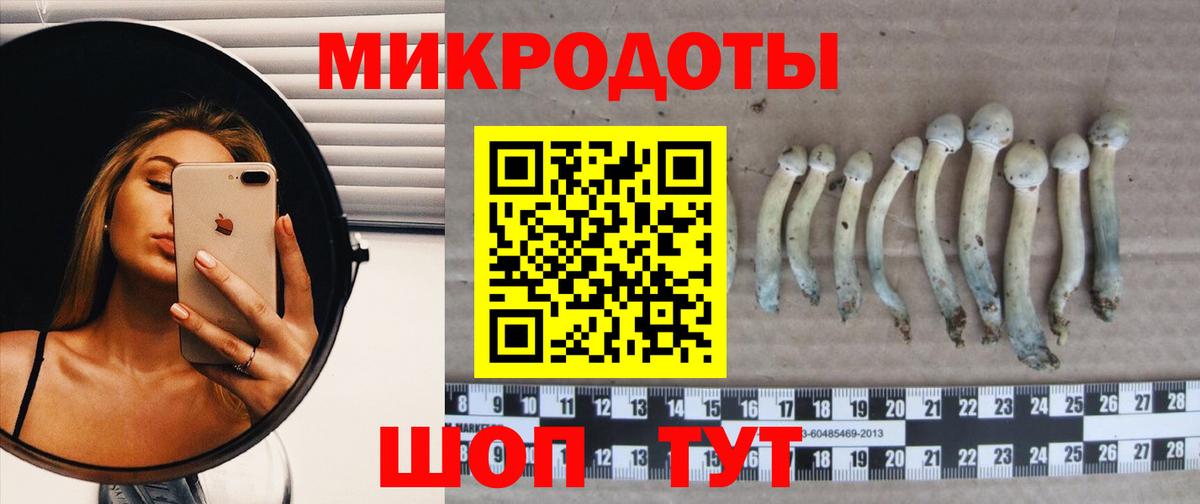 Мичуринск  Псилоцибиновые грибы Psilocybe  купить наркоту  Вход с VPN 